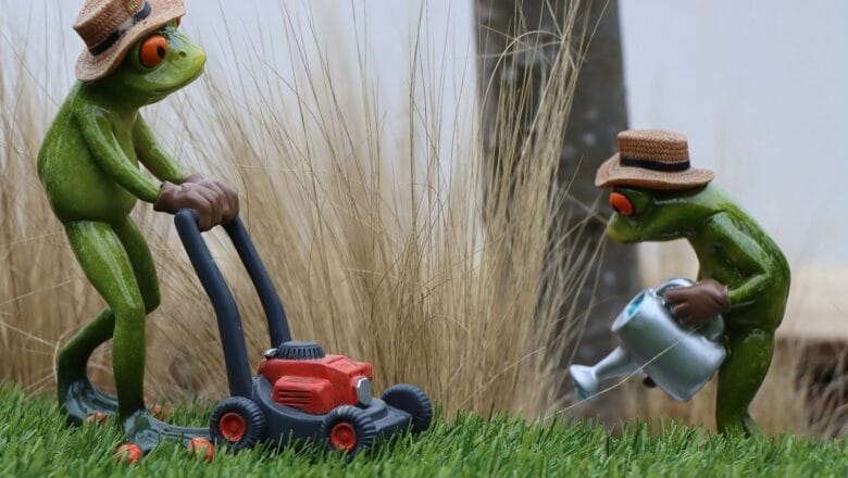 Najczęściej popełniane błędy w uprawie roślin ogrodowych