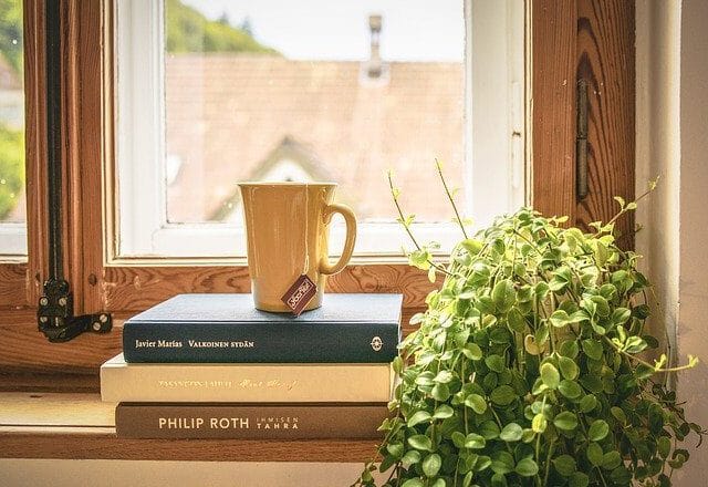 Pielęgnacja kwiatów doniczkowych zimą