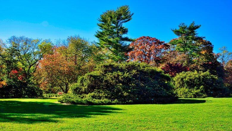 Trawnik w ogrodzie – kompleksowy poradnik