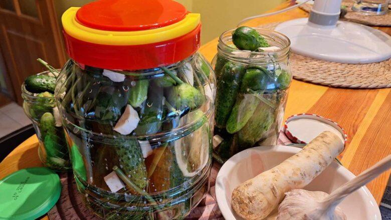 Jak kisić ogórki? Prosty przepis na kiszone ogórki