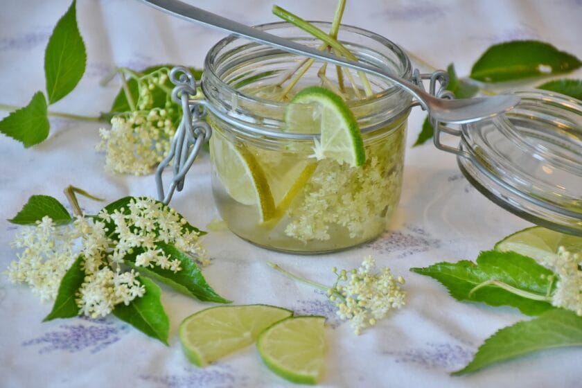 Czarny bez – naturalny lek z naszego ogrodu