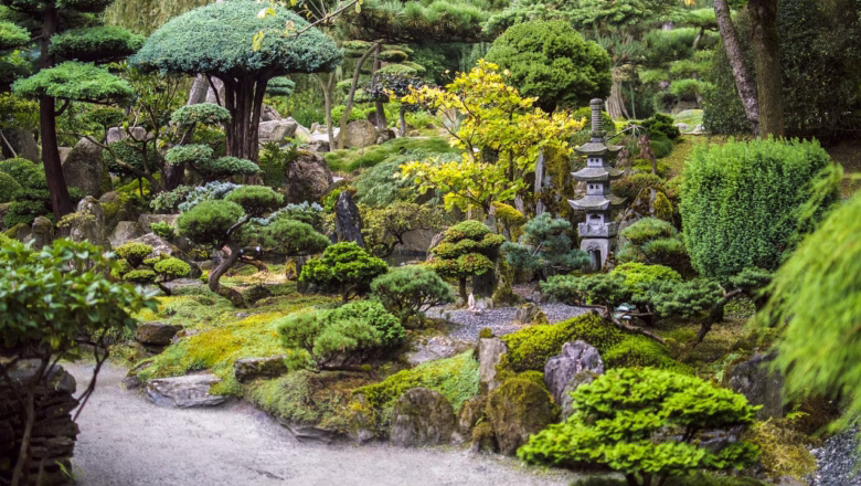 Ogród japoński – harmonia natury i filozofii